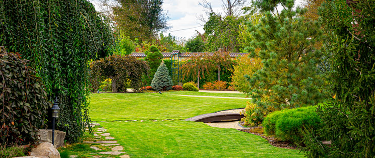 molesur diseño de jardines alhaurin el grande malaga